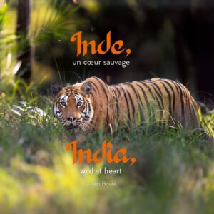 livre "inde, un cœur sauvage"
