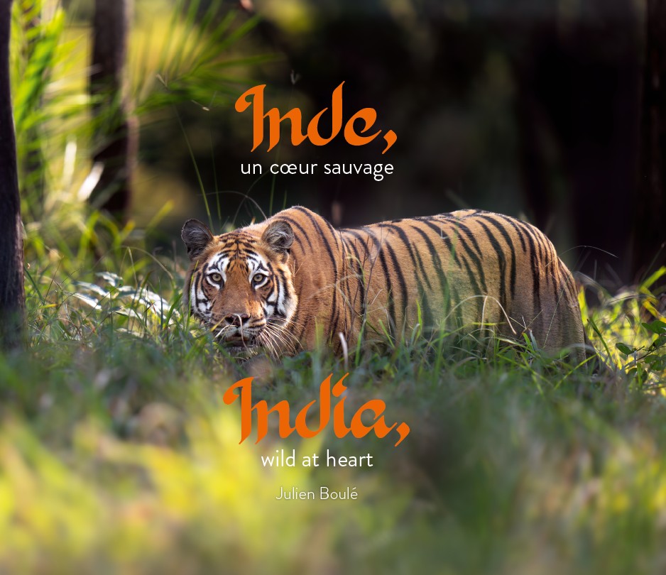 livre "inde, un cœur sauvage"